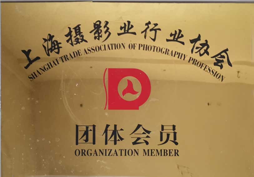 上海摄影行业会员